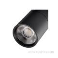30W LED Spotlight Cob LED LIDE